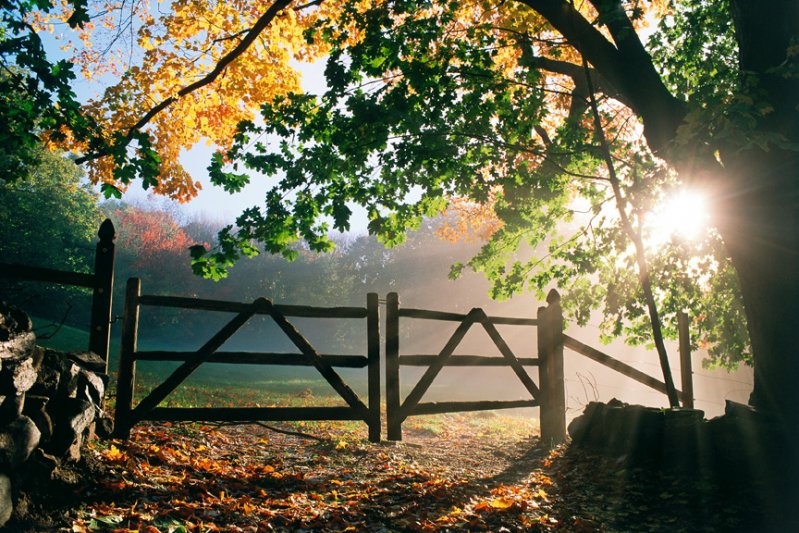 Ethereal Gates