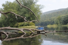 Kayak Delaware Rriver